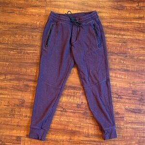 American Eagle Outfitters Men's Deep Purple Joggers
